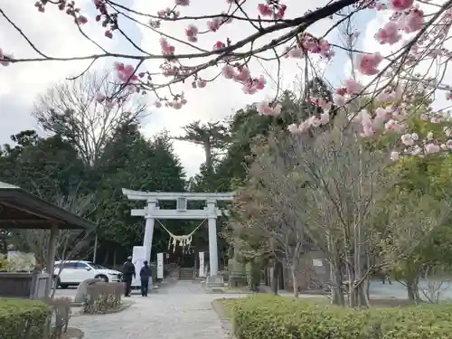 滑川神社 - 仕事と子どもの守り神の景色