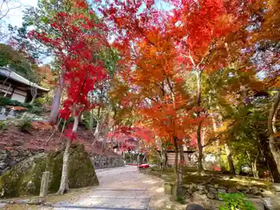 瓦屋寺(滋賀県)