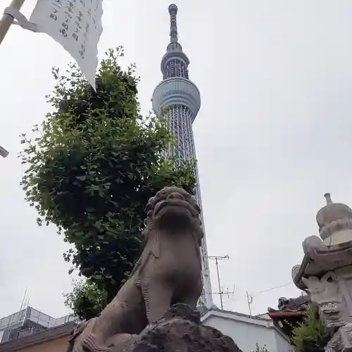 押上天祖神社の狛犬