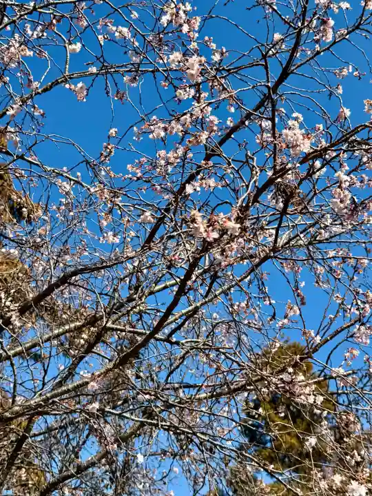 大沼神社の{uncategorized: "未分類", other: "その他", undefined: "問題あり", building: "その他建物", grave: "お墓", sacred_gate: "鳥居", guardian: "狛犬", statue: "像", buddha: "仏像", history: "歴史", nature: "自然", garden: "庭園", animal: "動物", pagoda: "塔", temizu: "手水舎", mountain_gate: "山門・神門", sanctuary: "本殿・本堂", subordinate: "末社・摂社", art: "芸術", scenery: "景色", jizo: "地蔵", ema: "絵馬", goshuin: "御朱印", omikuji: "おみくじ", items: "授与品その他", amulet: "お守り", goshuincho: "御朱印帳", eats: "食事", festival: "お祭り", votive_dance: "神楽", shichigosan: "七五三参", wedding: "結婚式", experience: "体験その他", initially: "初詣", around: "周辺", anti_infection: "感染症対策"}