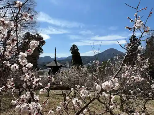 国宝 大法寺の庭園