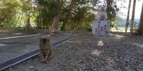 鹿角八坂神社の動物