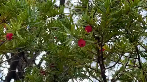 七重浜海津見神社(北海道)