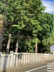 尉殿神社の建物その他