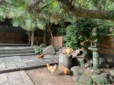 松森天満宮(長崎県)