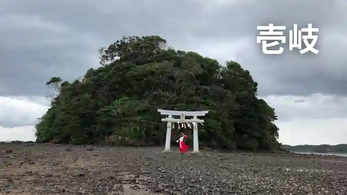 比賣神社の鳥居