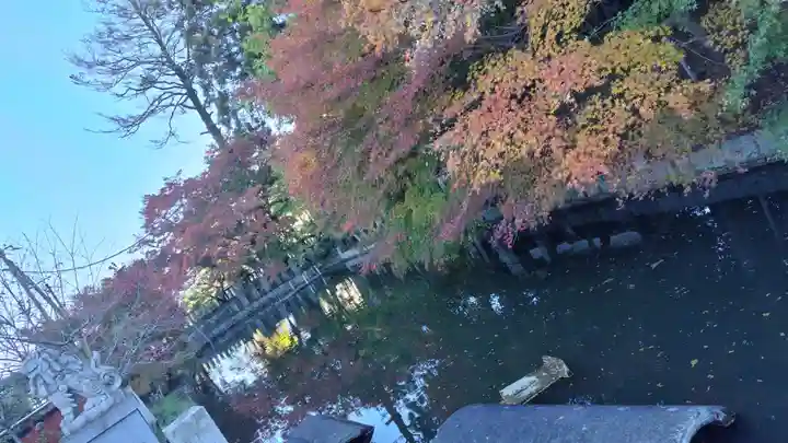 稗田野神社(薭田野神社)(京都府)