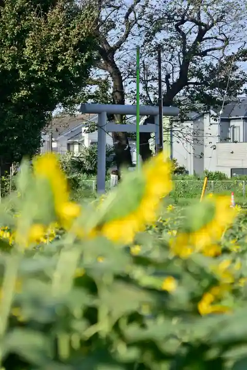 天照皇大神宮(神奈川県)