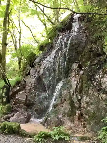 花園神社の自然