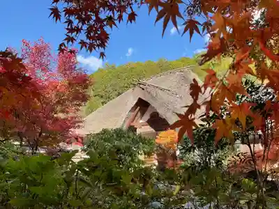 直指庵(京都府)