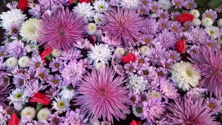 白岡八幡神社の手水舎