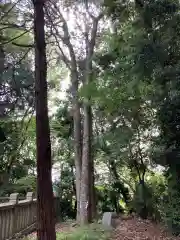 岩壺神社の自然