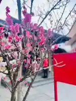 仙台八坂神社(宮城県)