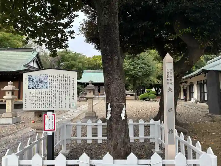 新曽氷川神社(埼玉県)