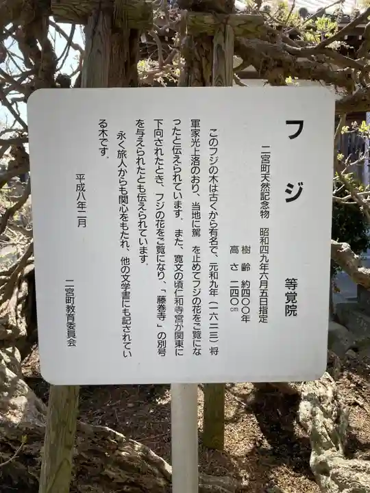 等覚院(藤巻寺)(神奈川県)