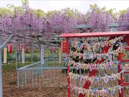 菖蒲神社の庭園