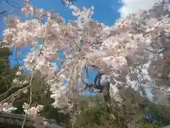 岩屋寺の自然