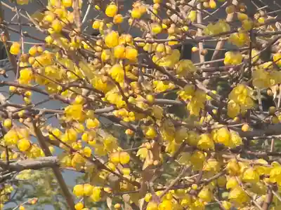 當麻寺 西南院(奈良県)