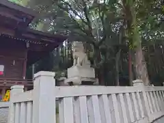 須賀神社の狛犬