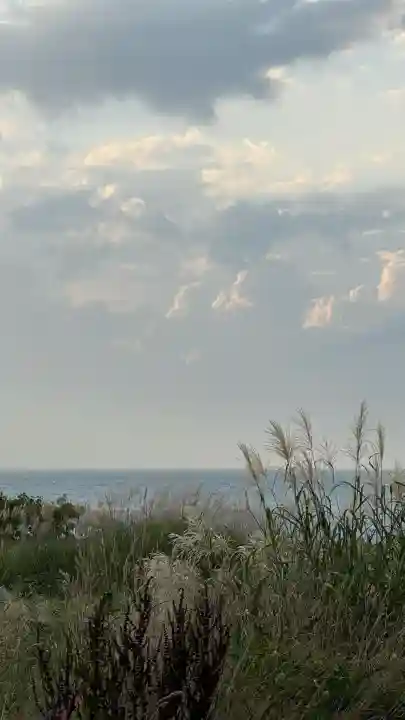 掛澗稲荷神社(北海道)
