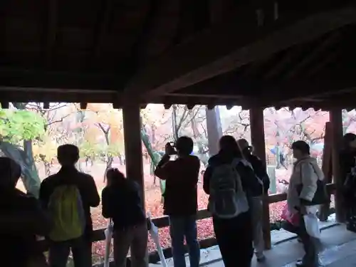 東福禅寺（東福寺）の体験その他