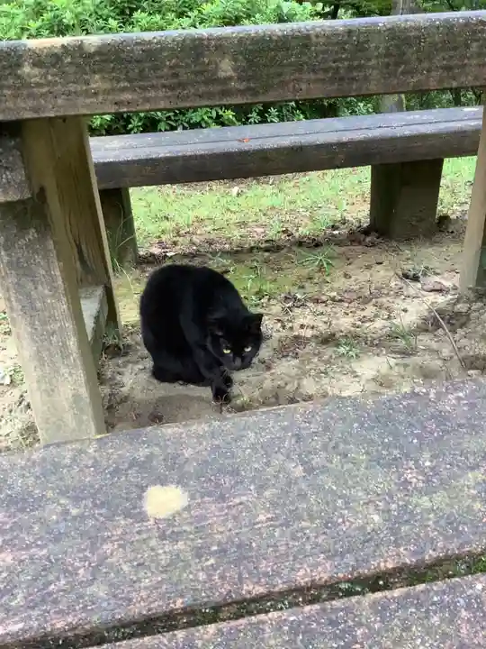 玉野御嶽神社の動物