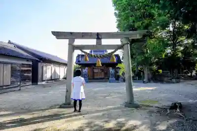 神明社（下佐々木町）の{uncategorized: "未分類", other: "その他", undefined: "問題あり", building: "その他建物", grave: "お墓", sacred_gate: "鳥居", guardian: "狛犬", statue: "像", buddha: "仏像", history: "歴史", nature: "自然", garden: "庭園", animal: "動物", pagoda: "塔", temizu: "手水舎", mountain_gate: "山門・神門", sanctuary: "本殿・本堂", subordinate: "末社・摂社", art: "芸術", scenery: "景色", jizo: "地蔵", ema: "絵馬", goshuin: "御朱印", omikuji: "おみくじ", items: "授与品その他", amulet: "お守り", goshuincho: "御朱印帳", eats: "食事", festival: "お祭り", votive_dance: "神楽", shichigosan: "七五三参", wedding: "結婚式", experience: "体験その他", initially: "初詣", around: "周辺", anti_infection: "感染症対策"}
