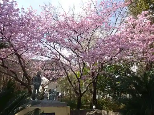 かっぱの寺 栖足寺の自然