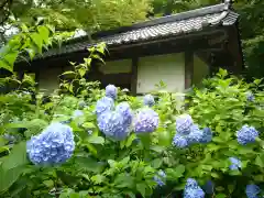 明月院の建物その他