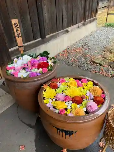 多賀神社の手水