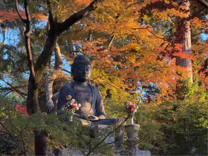 榮攝院(栄摂院)(京都府)