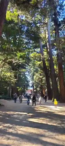 鹿島神宮(茨城県)