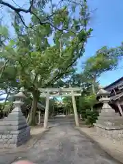 春日神社の鳥居