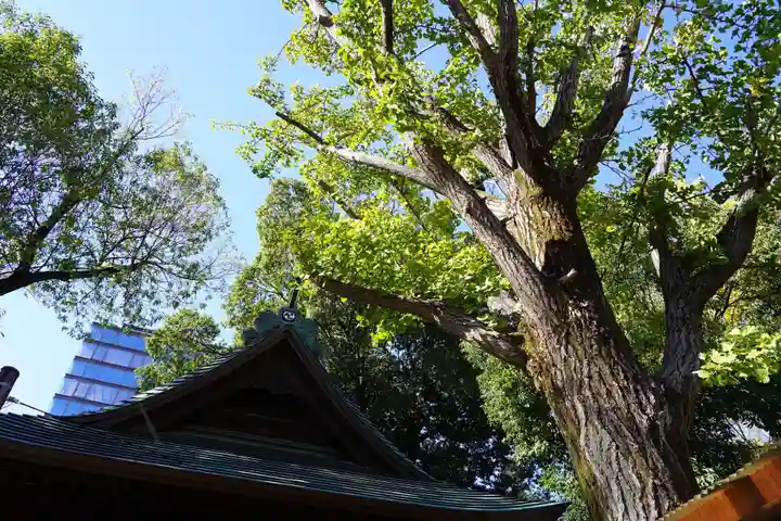 阿邪訶根神社のその他建物