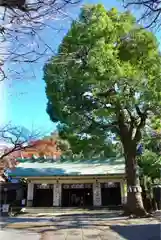 駒込天祖神社の建物その他