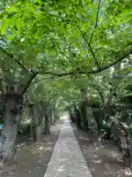 極楽寺(霊鷲山感應院極楽律寺)(神奈川県)