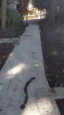 星宮神社のその他建物