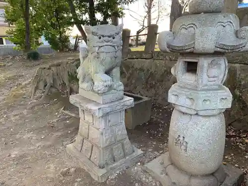 鷲神社の狛犬