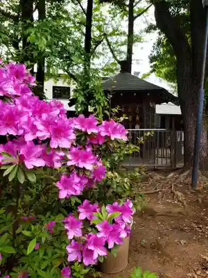 鳩森八幡神社(東京都)