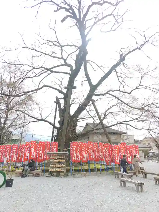 秩父今宮神社(埼玉県)