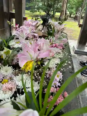札幌護國神社(北海道)