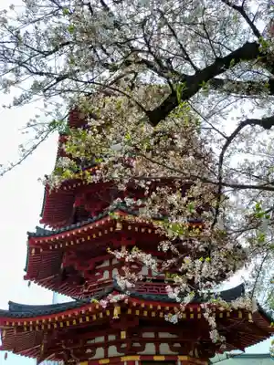 川崎大師（平間寺）(神奈川県)