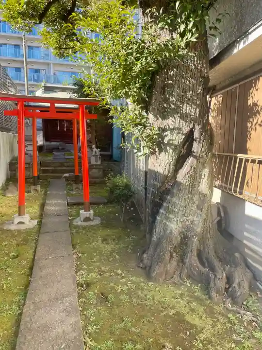 瘡護稲荷大明神の{uncategorized: "未分類", other: "その他", undefined: "問題あり", building: "その他建物", grave: "お墓", sacred_gate: "鳥居", guardian: "狛犬", statue: "像", buddha: "仏像", history: "歴史", nature: "自然", garden: "庭園", animal: "動物", pagoda: "塔", temizu: "手水舎", mountain_gate: "山門・神門", sanctuary: "本殿・本堂", subordinate: "末社・摂社", art: "芸術", scenery: "景色", jizo: "地蔵", ema: "絵馬", goshuin: "御朱印", omikuji: "おみくじ", items: "授与品その他", amulet: "お守り", goshuincho: "御朱印帳", eats: "食事", festival: "お祭り", votive_dance: "神楽", shichigosan: "七五三参", wedding: "結婚式", experience: "体験その他", initially: "初詣", around: "周辺", anti_infection: "感染症対策"}