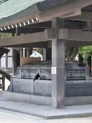 筥崎宮(福岡県)