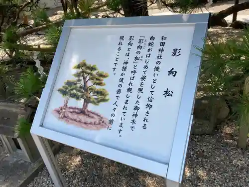 和田神社の歴史