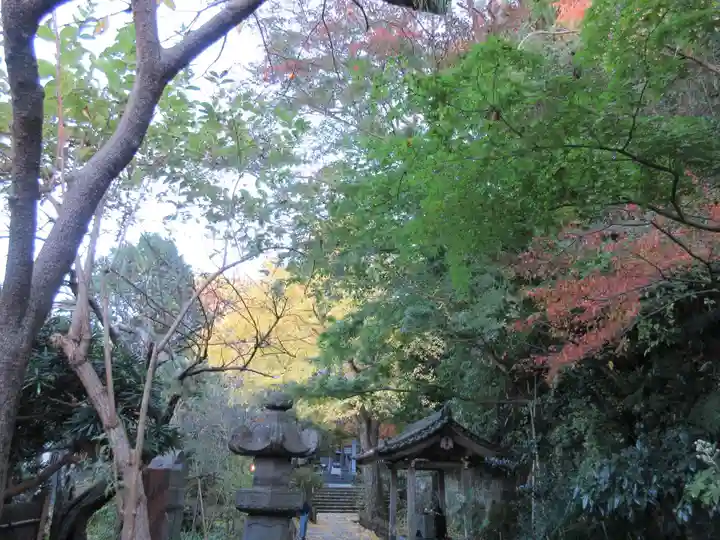安國論寺(安国論寺)の庭園