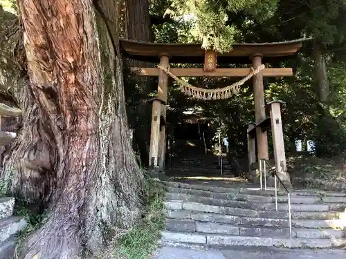 下野八幡大神社の鳥居