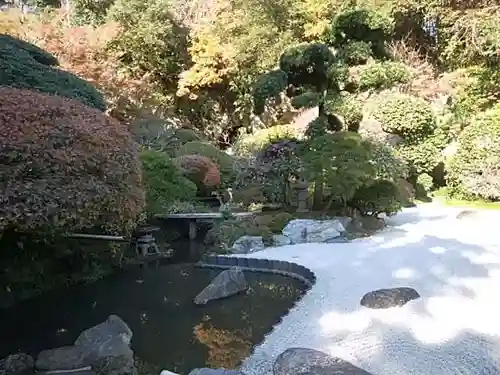 報国寺の庭園