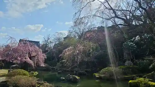 竹林院の庭園
