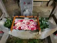 田間神社(千葉県)